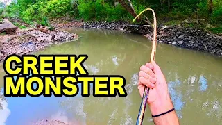 70 LB MONSTER in a TINY CREEK!!! (INSANE)