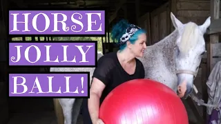 Jolly MEGA Ball (unboxing, review, and playing with my horses!)