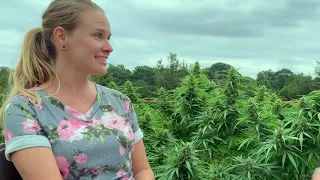 The Hemp Mine Field Day CropTalk Video