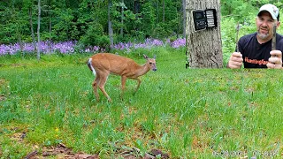 The PERFECT Trail Camera Angle Every Time! How to Setup Your Trail Cam Field of View