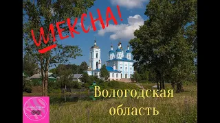 Шексна Вологодская область