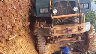 Dangerous Fall Timber Truck Going Step Down