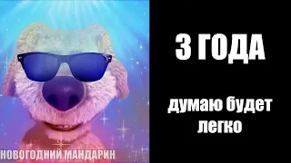 До ЕГЭ осталось: