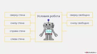 Видеоурок по информатике "Основные алгоритмические конструкции"