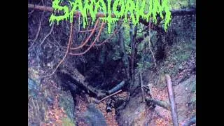 Sanatorium - Autumn Shadows