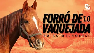 FORRÓ DE VAQUEJADA 1.0 (SÓ AS MELHORES)