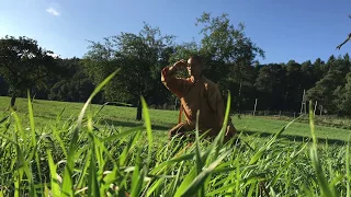 少林禅功柔拳 · Shaolin Chan Gong Rou Quan (Soft Fist)