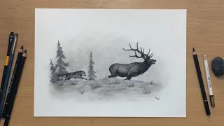 Wildlife Charcoal Drawing - Wolf Chasing an Elk