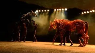War Horse |The Works | RTÉ ONE