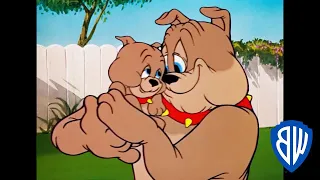 Tom y Jerry en Latino | Spike, el Padre del Año | WB Kids Kids Cartoon | Funny Cartoon  |New cartoon