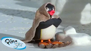 Pingu Explores the Outdoors 🐧 | Pingu - Official Channel | Cartoons For Kids