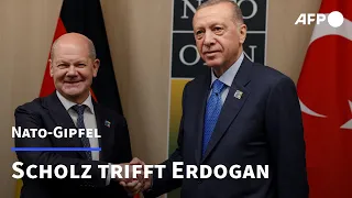 Scholz trifft Erdogan in Vilnius | AFP