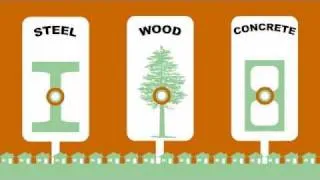 Forest Fact Break: Carbon Capture video