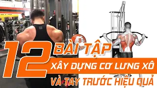 12 Bài Bập XÂY DỰNG CƠ LƯNG XÔ và TAY TRƯỚC Hiệu Quả  I WHEYSHOP.VN