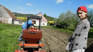 Mini bramboriáda - sadba brambor u sousedů 2022