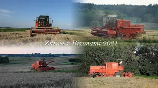 Żniwa z Bizonami 2021 || Czechosłowak w akcji!!! ||