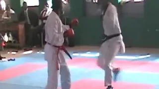 Karate Police games