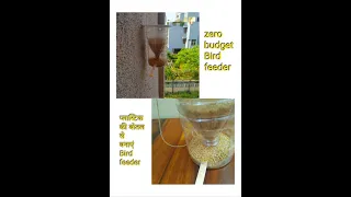 DIY Bird feeder, Bird feeder from plastic bottle, homemade bird feeder
