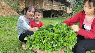 Single mother harvesting sweet potato tops to sell - as a broom to sweep the house - was attacked