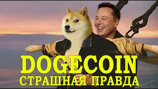 ИЛОН МАСК СКУПИЛ ВСЕ DOGE В 2019!? Разработчики Dogecoin раскрыли тайну Маска. Обзор цены биткоина