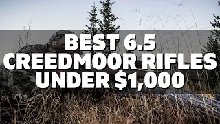 Top 5 Best 6.5 Creedmoor Rifles Under $1,000 (2022)