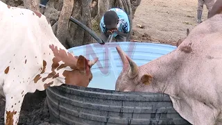 A dry spell leaves Katakwi residents, their animals thirsty