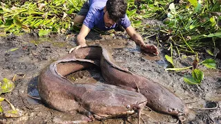 Best Fishing Video 2024.   Amazing Village Boy Catching Fish By Hand In Mud  Water#fishing