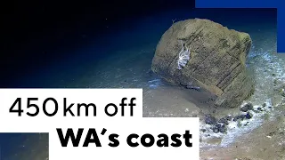 Discovering what lives 450km off WA's coast