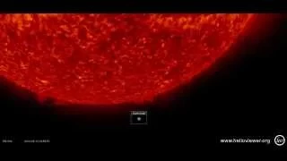 VERY BIG OBJECT NEAR THE SUN ON AIA 304 (2014-02-13 16:27:31 - 2014-02-13 17:27:31 UTC)