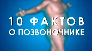 10 фактов о позвоночнике