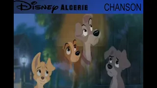 La Belle et Le Clochard 2   La Famille   Walt Disney HD