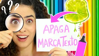 DESVENDANDO MITOS & VERDADES de materiais de arte #2 | Paula Stephania