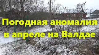 Активные пенсионеры в деревне. Валдай (Новгородская область). Погода и погодная аномалия.