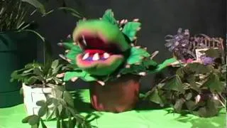 Little Shop of Horrors :30 Commercial