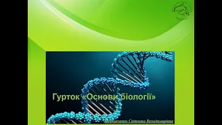 Будудова, властивості та функції ДНК