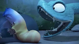 LARVA - SNAKE CHARMER | Cartoons | Comics | Larva Full Movie | Larva Cartoon | LARVA Official