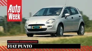 Fiat Punto - Occasion Aankoopadvies