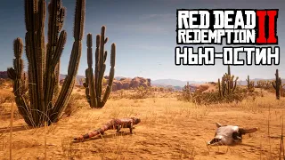 География Red Dead Redemption 2: НЬЮ-ОСТИН