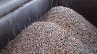 sunflower seeds shelling machine THKH1500(英文)_0.mp4