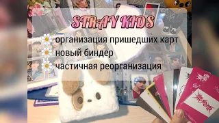 k-pop photocards collection: организация в биндеры #2 | ТОЛЬКО stray kids