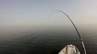 Big Drums tailing behind South Padre Island Convention Center