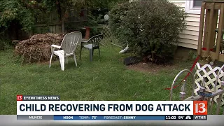 Child recovering after dog attack