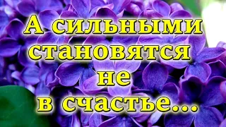 ❤Прекрасный стих! А сильными становятся не в счастье... ОЧЕНЬ СИЛЬНЫЙ СТИХ! Рекомендую!