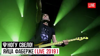 Ногу Свело! - Яйца Фаберже (Live 2019)