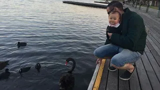 Evening walk at Albert Park Lake