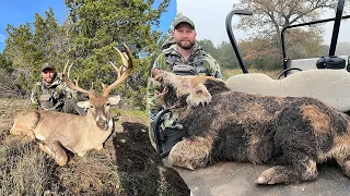 His First Whitetail BUCK And GIANT BOAR HOG