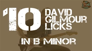 10 David Gilmour Licks (Pink Floyd) - in B Minor, in the Style of Money