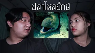 พวกเราซื้อ ปลาไหลยักษ์ มาจาก Dark Web! | หลอนดาร์กเว็บ EP.16