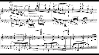 S.Karg Elert - Piano Sonata No.3 Op.105 "Patetica" (1914)