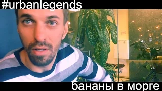 ШОК! 18+ Бананы хранят в морге вместе с трупами. #urbanlegends #городскиелегенды